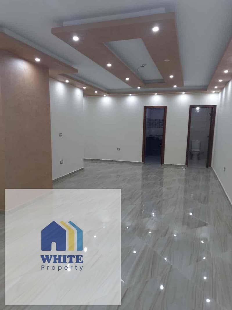 IMG_7203. jpg IMG_7203. jpg