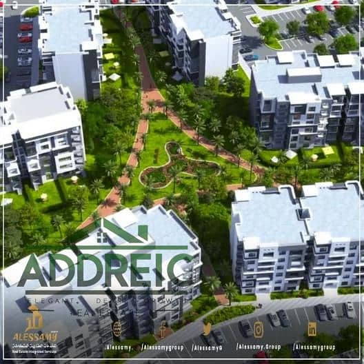 4 alessamy_b14madinaty_(2)[1]_40677. jpg