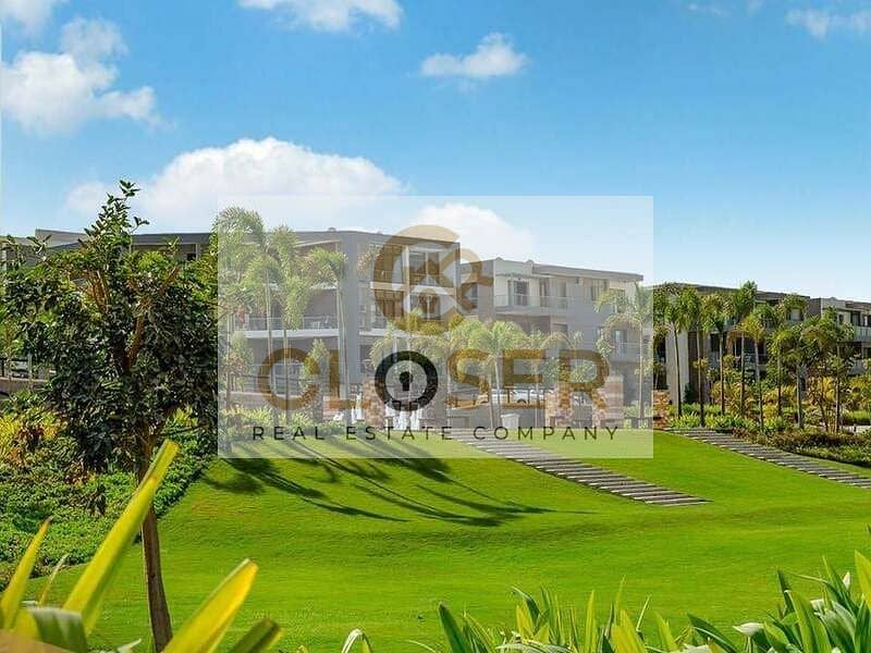 78480530_2448197525428974_3944045507021635584_n. jpg