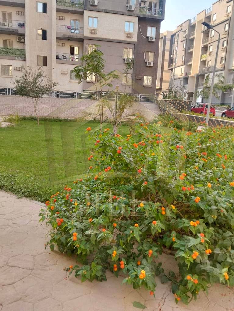 2 566302078_1382480626723401_8798549507696136141_n. jpg