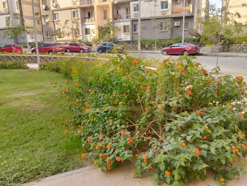 3 571429445_1382480586723405_6347482267454260796_n. jpg