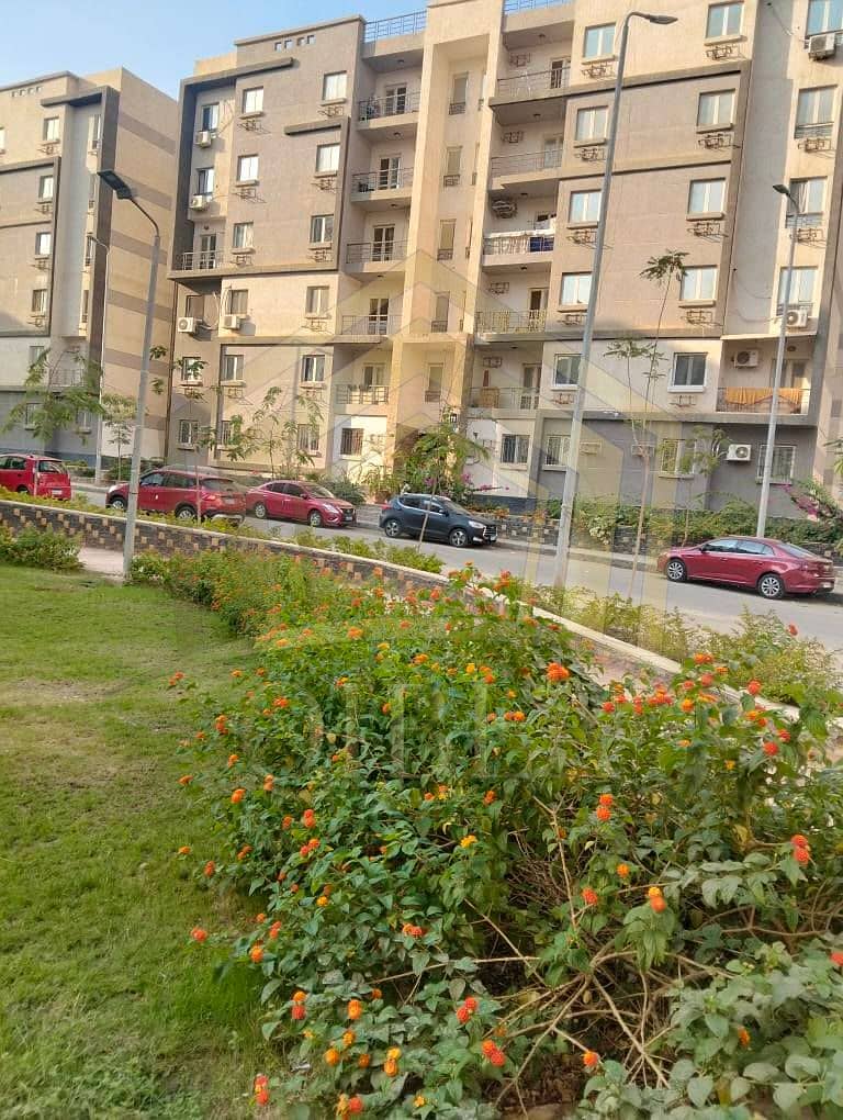 4 571333643_1382480550056742_6556944768474137680_n. jpg