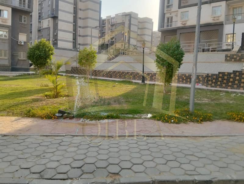 5 557740899_1382482060056591_7502253259491663143_n. jpg