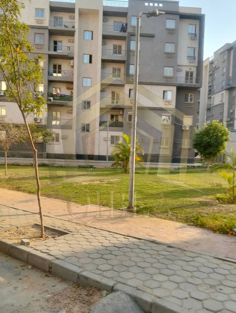 6 569305695_1382481263390004_8721572828779629323_n. jpg