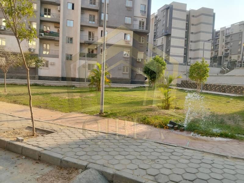 7 571216635_1382480896723374_4653539272541271855_n. jpg