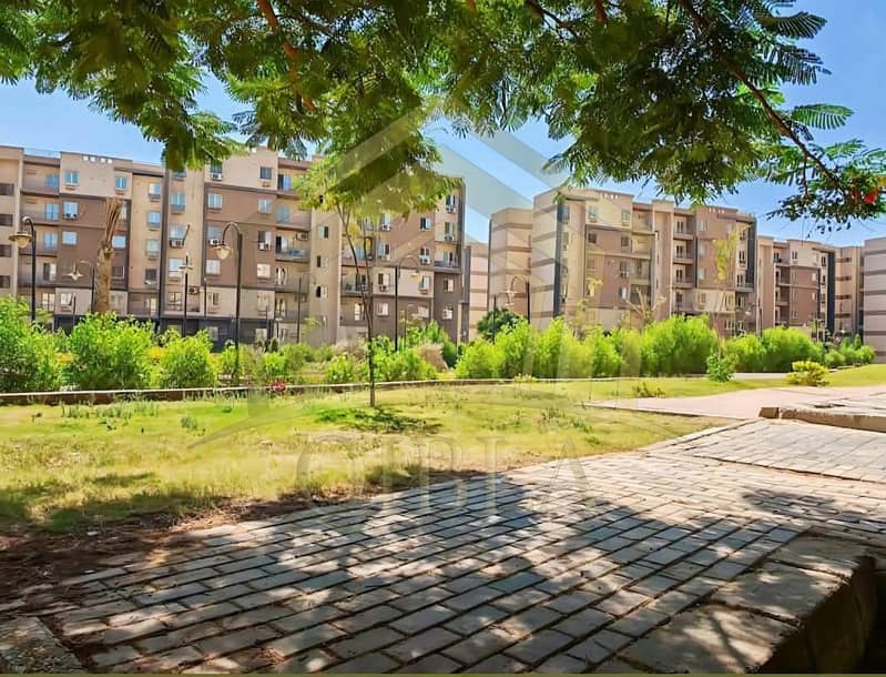 8 569179253_122280989630069796_6470830963399059280_n. jpg