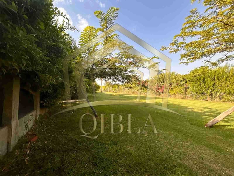 2 zOYzhB5hHItBLvqXaXyCqvFIurBc4ErPB84ZCXCk. jpeg