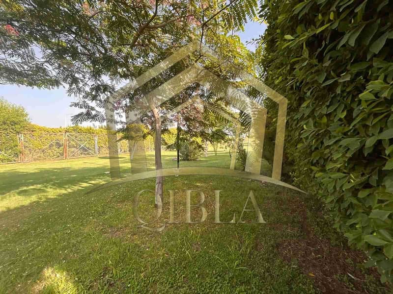 3 IuW66LWx4AhitYYen4sB1v0fDDGmN8JMVwOzS5Ki. jpeg