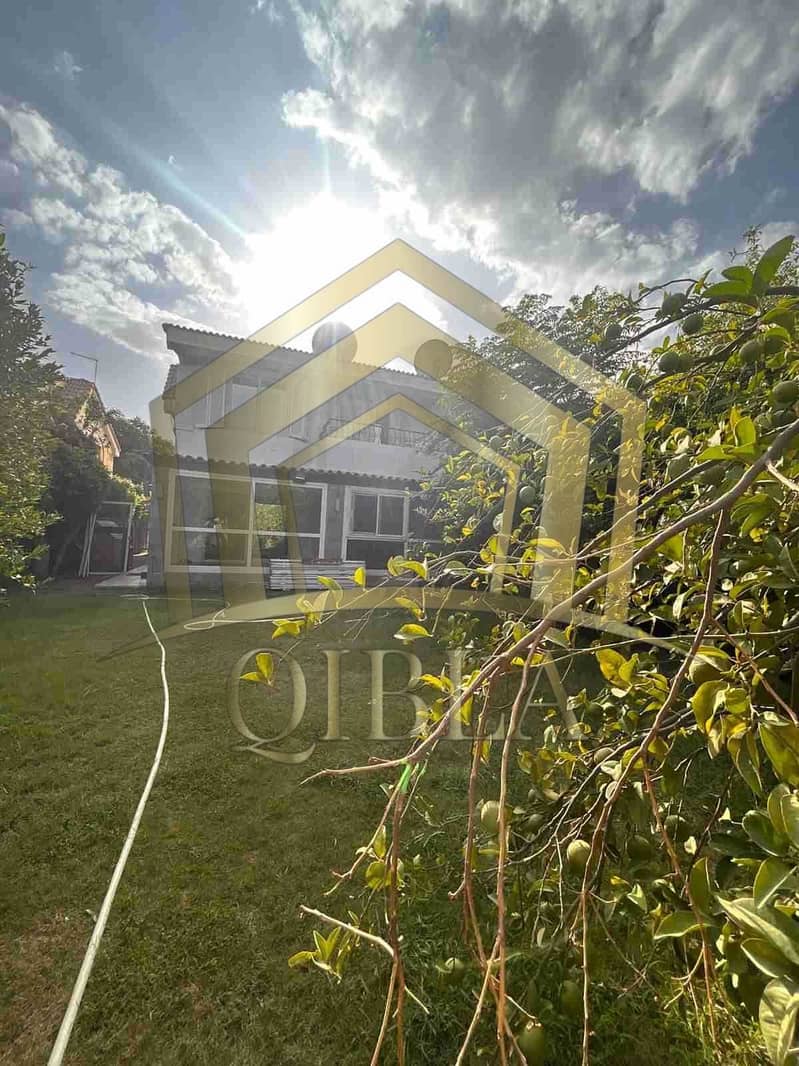 26 yU1x6Yc1gbTKHUaEq2LmetLRXp5jMPYkBN5poR0s. jpeg