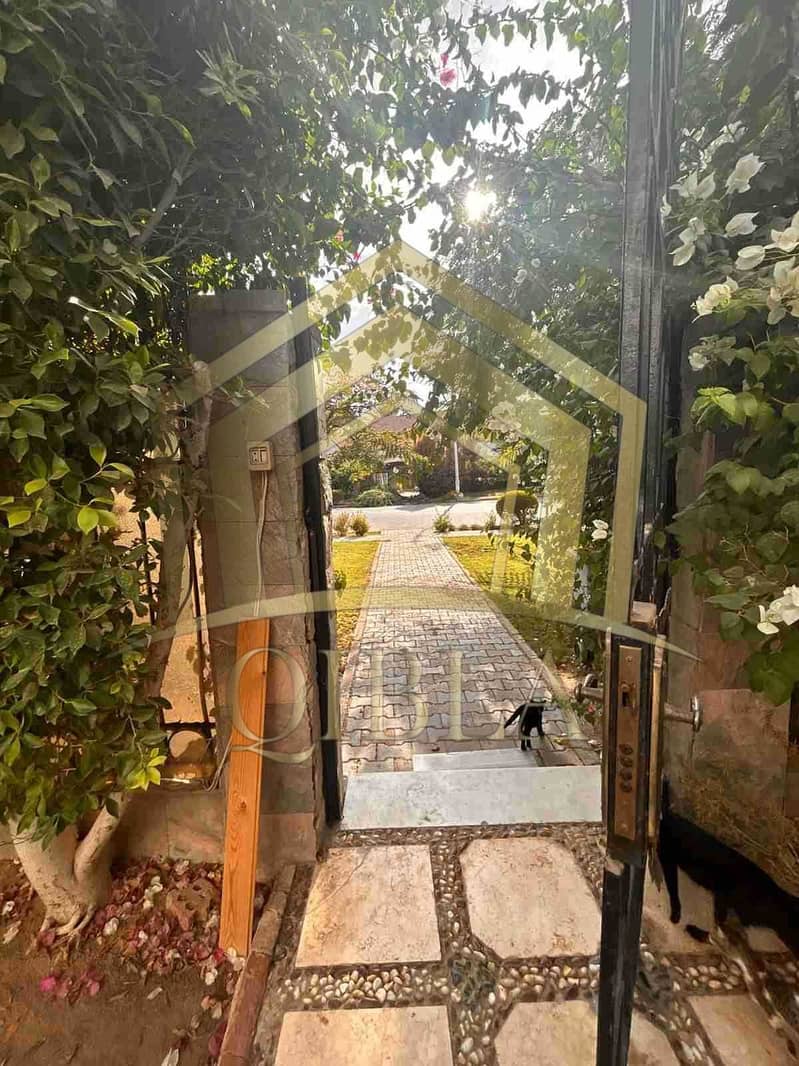 29 mbhBE7Pp2yZ3AJ4HUomUTb8Aa5iwJhhkoEC2t4sK. jpeg