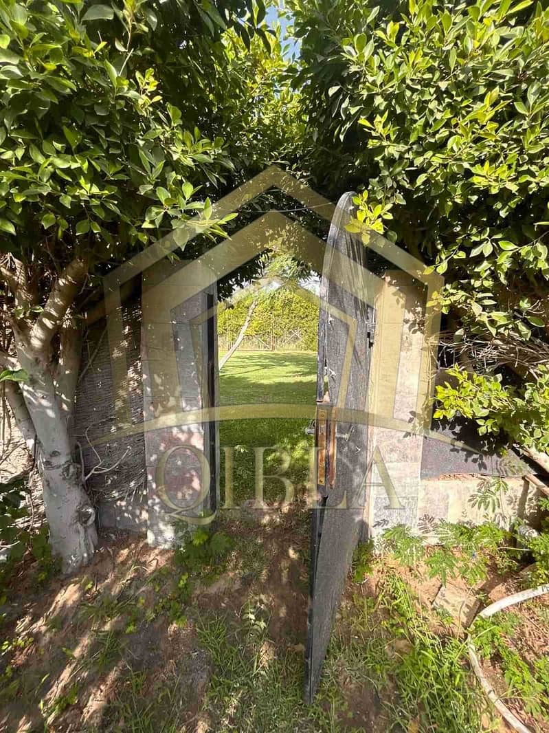 34 0nevdbciwrKnKTsvDJahnlKRjyIdoVZubz4xgrtK. jpeg