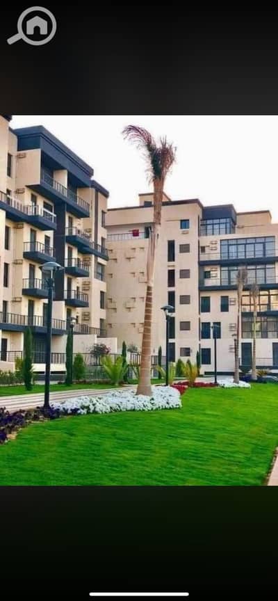 3 Bedroom Apartment for Rent in Madinaty, Cairo - IMG_8319. png