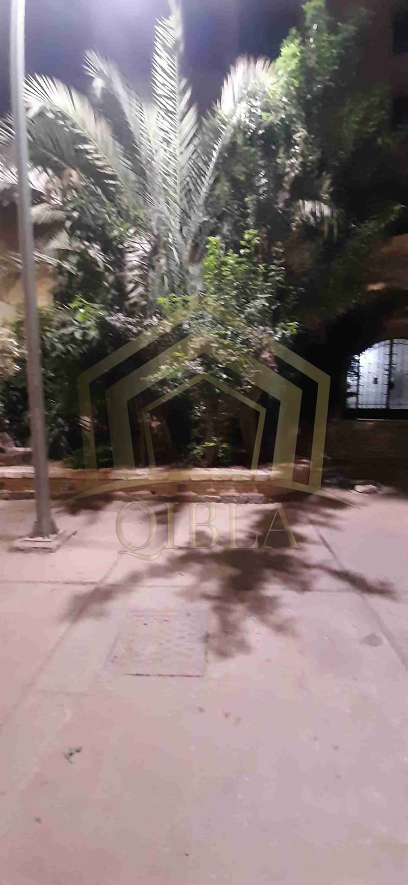 12 ٢٠٢٥١١٢٤_١٨٤٣٤٩. heic