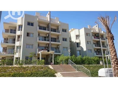 شقة 3 غرف نوم للايجار في الشيخ زايد، الجيزة - DSC_0023. jpg