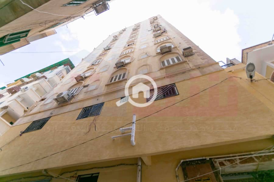 24 WhatsApp Image 2025-11-23 at 4.20. 53 AM. jpg