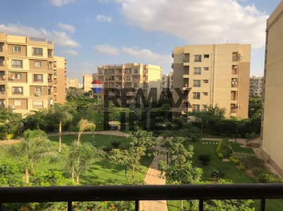 3 Bedroom Apartment for Sale in Madinaty, Cairo - 8e7db8f7-57d9-48dd-b397-f8a492d0a2a5. jpg 3 Bedroom Apartment for Sale in Madinaty, Cairo - 8e7db8f7-57d9-48dd-b397-f8a492d0a2a5. jpg