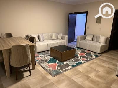 استوديو  للايجار في القاهرة الجديدة، القاهرة - WhatsApp Image 2025-11-24 at 7.30. 04 AM (1). jpeg