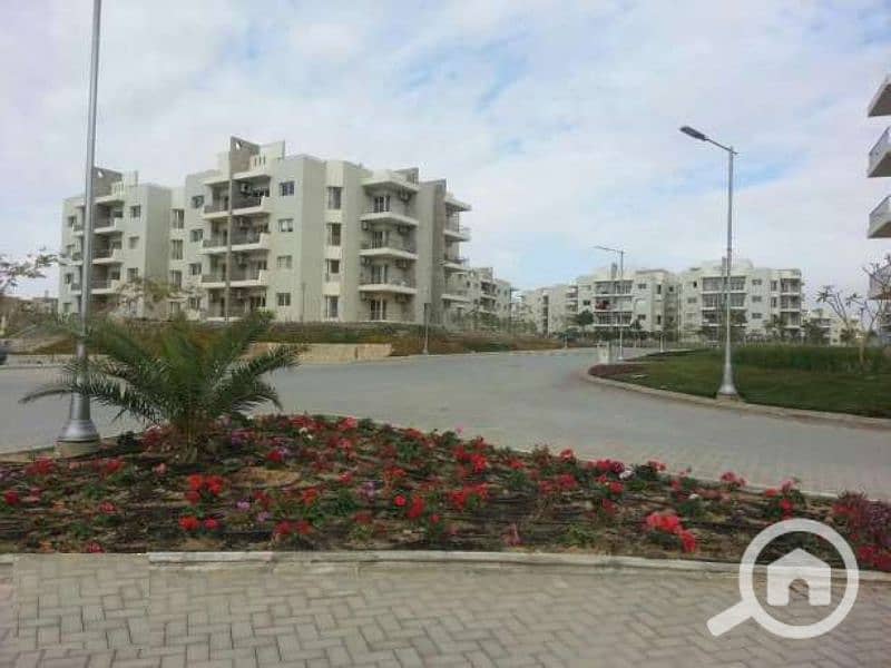 10 olxeg_2536944_8_1000x700. jpg