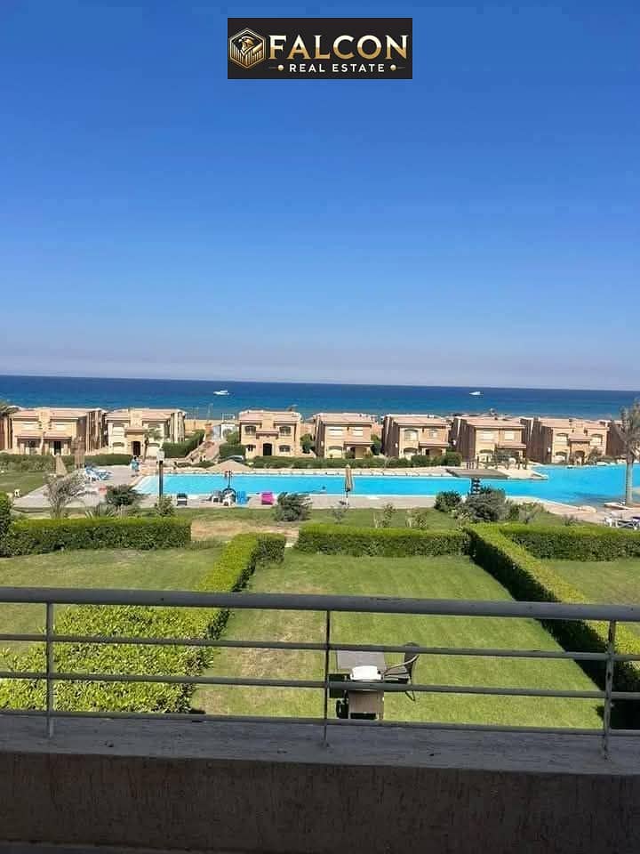 11 583336525_122156685806667966_7388722979671237934_n. jpg