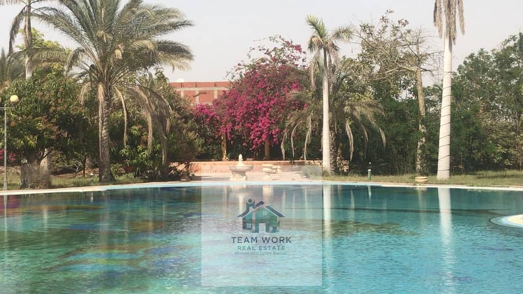 6 WhatsApp Image 2025-10-25 at 2.47. 12 PM (2). jpeg