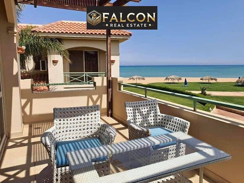 3 419622718_6648733128566615_3974798525798040496_n. jpg