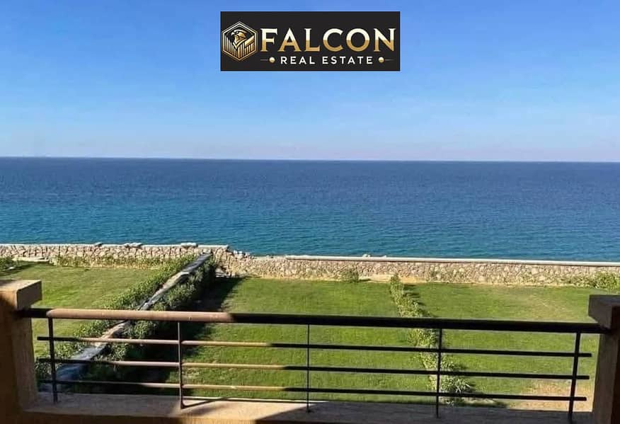 7 585830266_4125437337716862_5988790396817062448_n. jpg