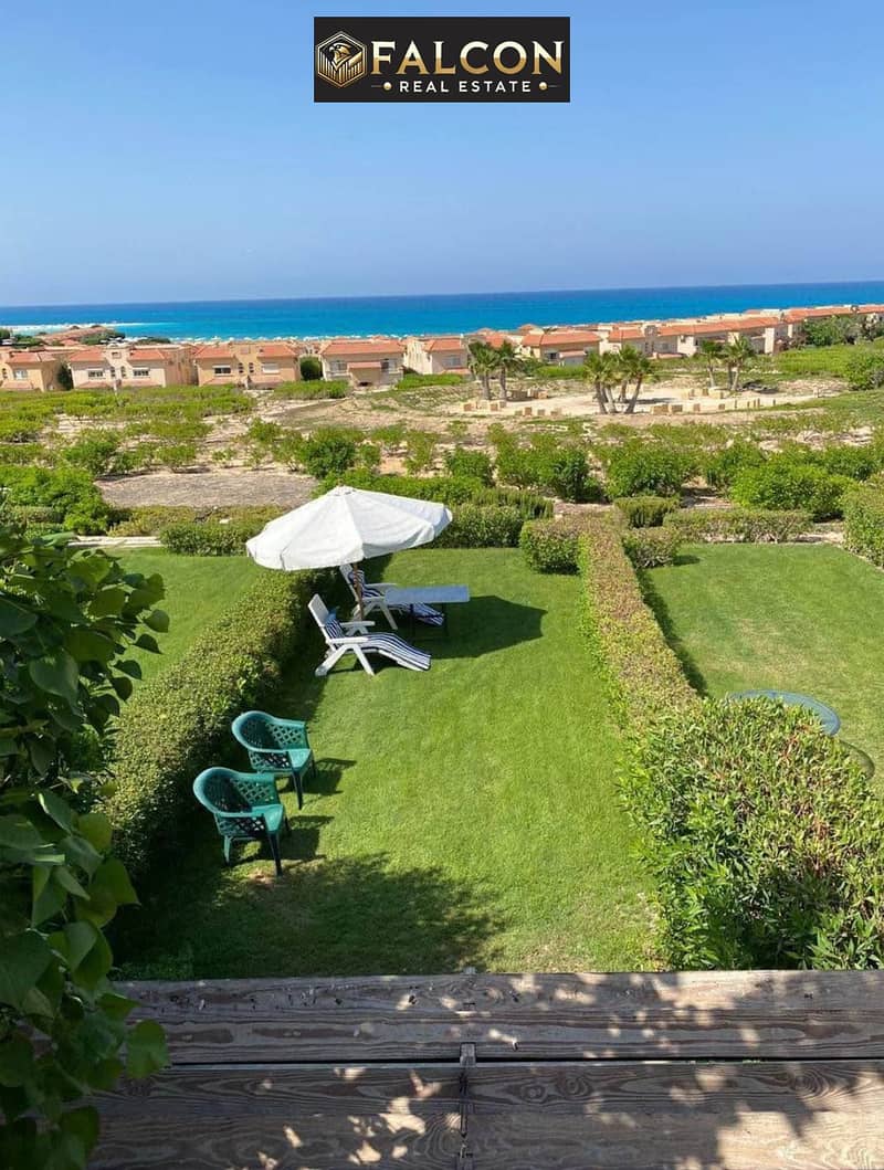 8 586971419_122157890576871914_2567455793759294304_n. jpg