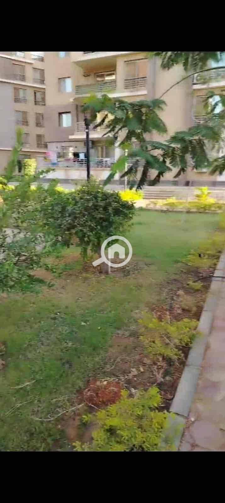 8 27b7c8ae-c1da-40c1-81f3-0b15c6525cd0. jpg