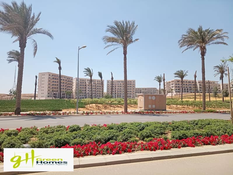 4 WhatsApp Image 2023-05-04 at 9.29. 09 PM. jpeg