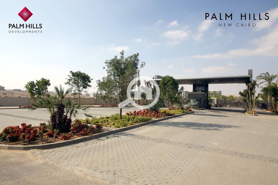 10 photo_2025-02-21_18-50-07. jpg