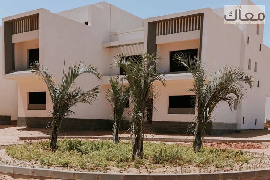 13 abca709d-836f-4485-8261-d512e396741a. jpg