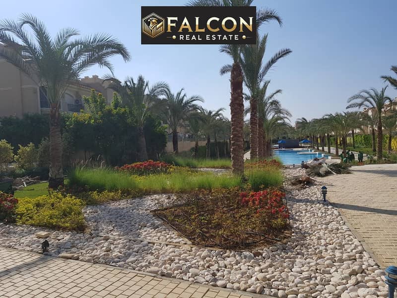 11 56038290-c371-4d41-9b86-c84eacd796ec. jpeg