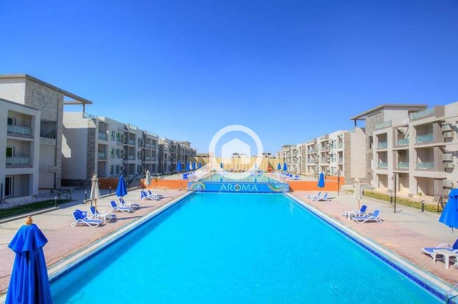 10 285222156_331216929174718_6527207723996945079_n. jpg