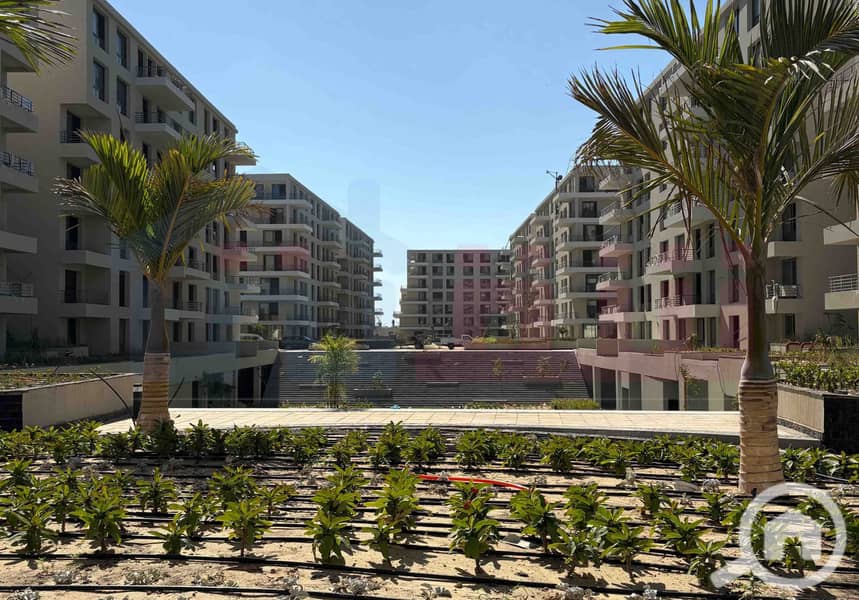 9 WhatsApp Image 2025-09-06 at 2.17. 22 PM. jpg