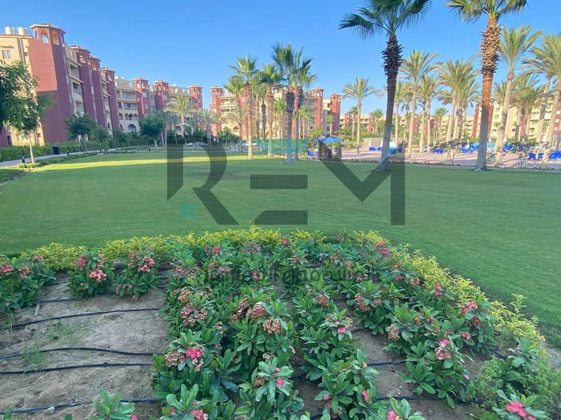 2 WhatsApp Image 2025-02-01 at 08.30. 51_a8251796. jpg