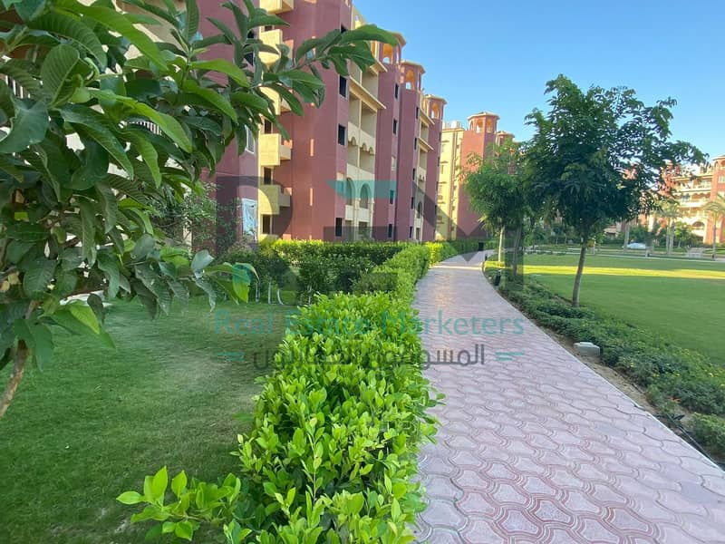 4 WhatsApp Image 2025-01-07 at 11.18. 09_87ceb2ca. jpg