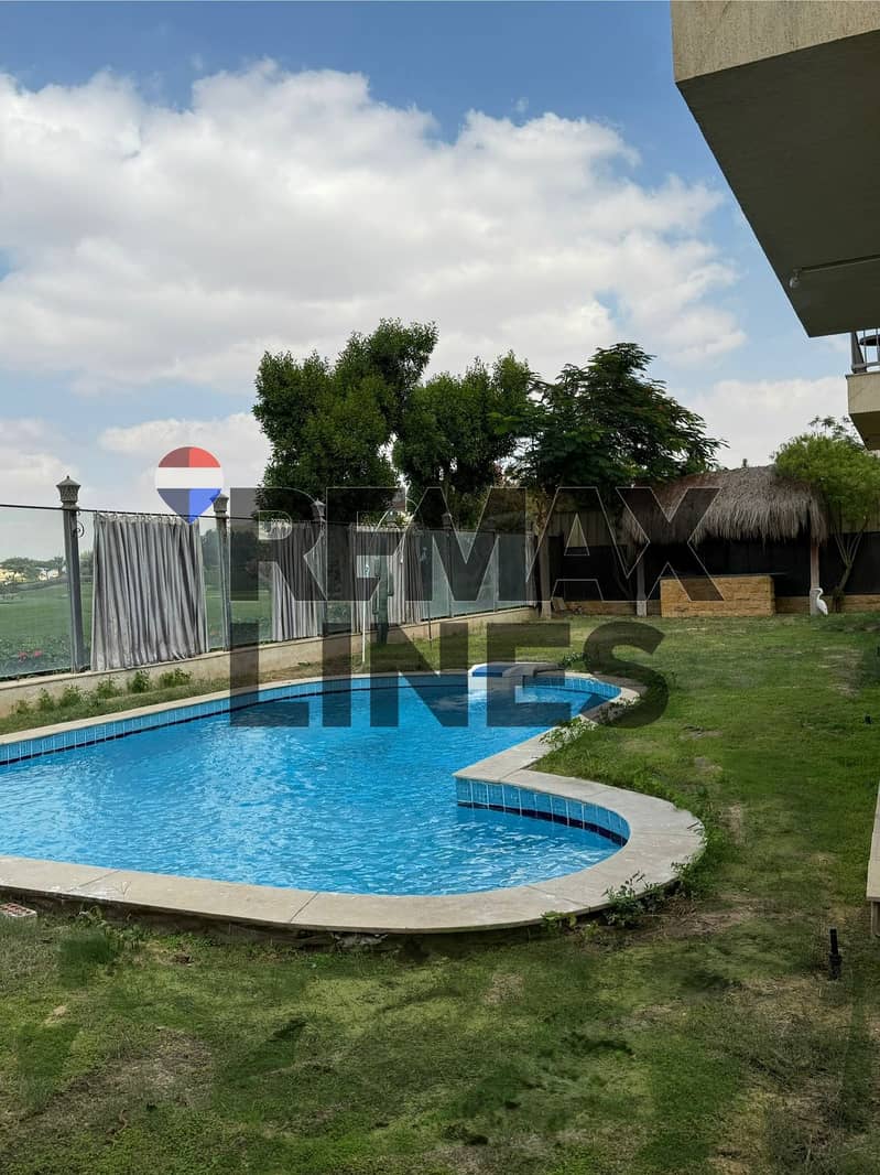 5 10879715-3eea-4413-9ba1-dd649dca3793. jpg