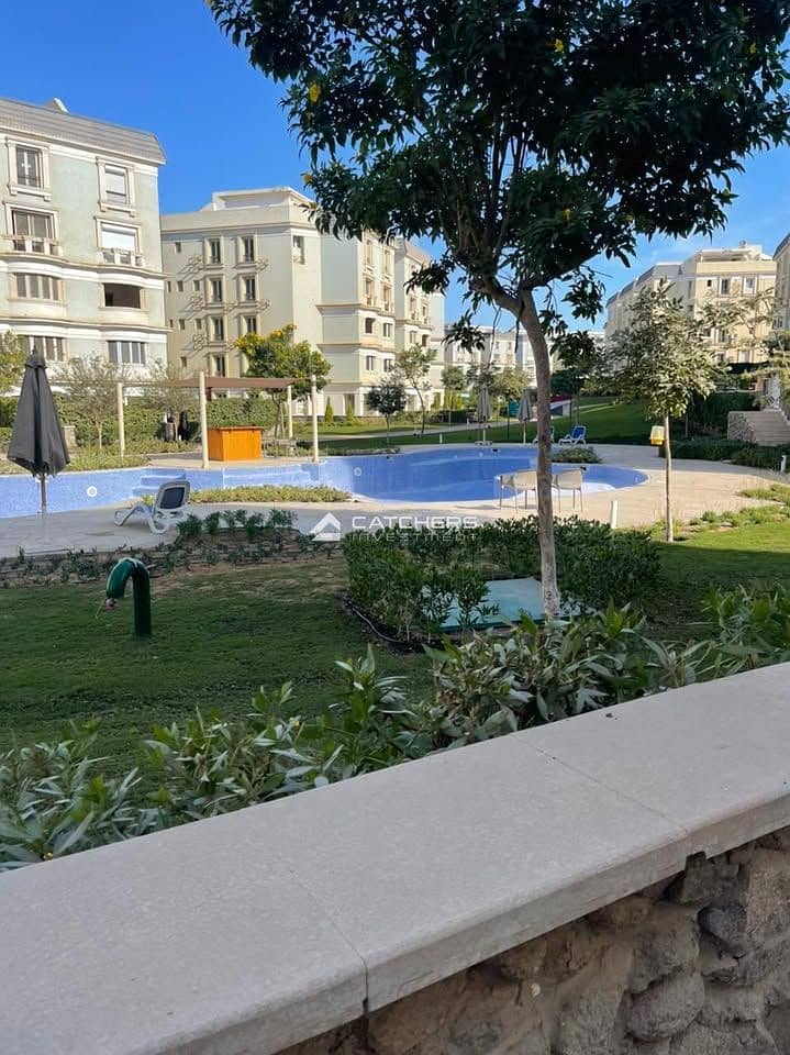 8 587692287_1186686463386166_3054863390431041567_n. jpg