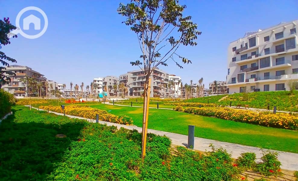 4 IMG-20251126-WA0006. jpg