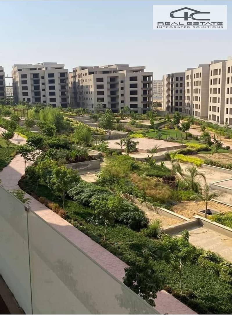 2 WhatsApp_Image_2025-02-17_at_15.41. 37_cb379d7d. jpg