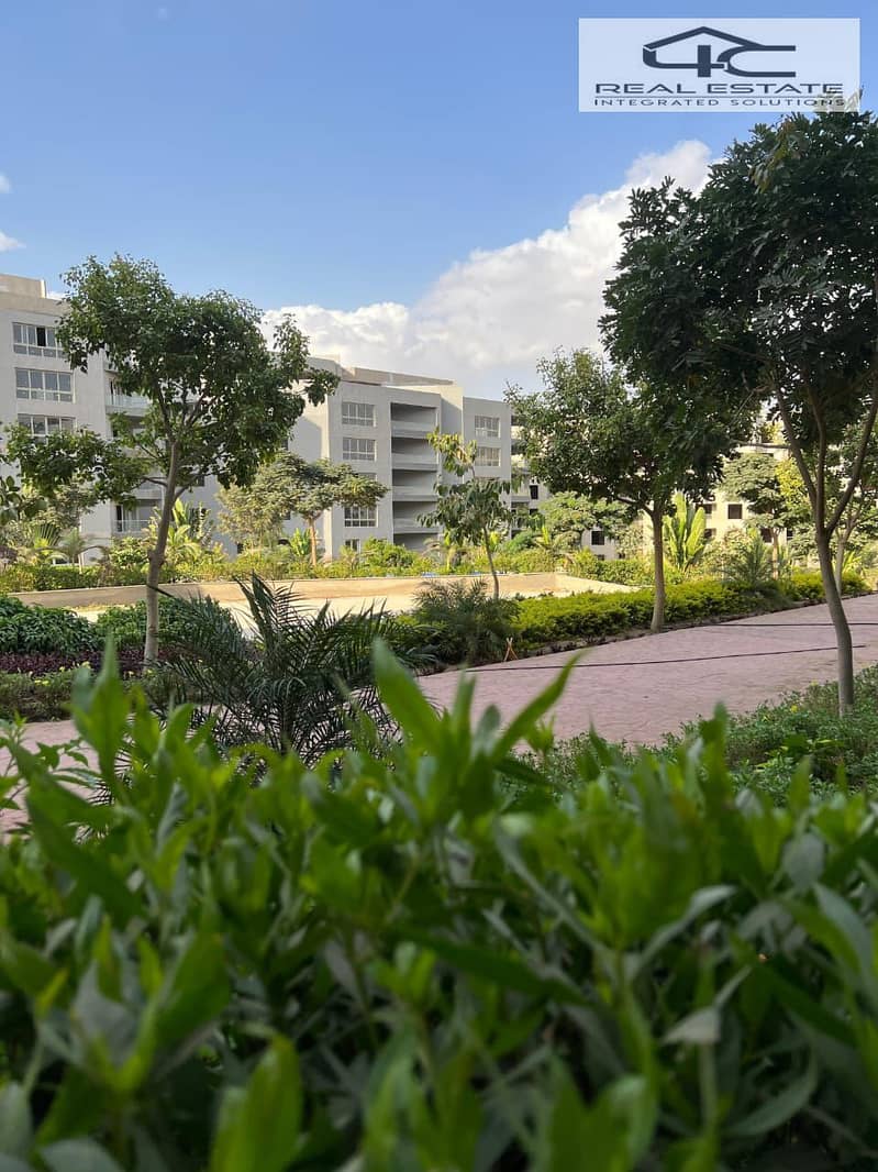 4 WhatsApp Image 2025-11-26 at 4.34. 01 PM (2). jpeg