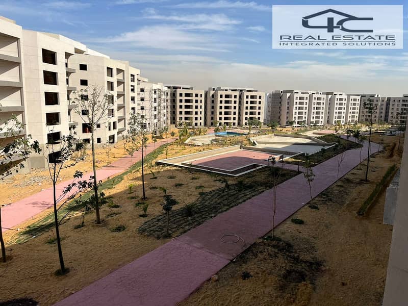 5 WhatsApp_Image_2025-02-17_at_15.40. 59_8071ebe4. jpg