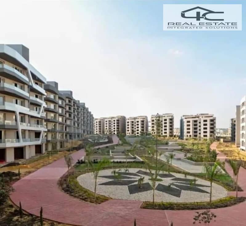 6 WhatsApp_Image_2025-02-17_at_15.41. 27_ea077309. jpg