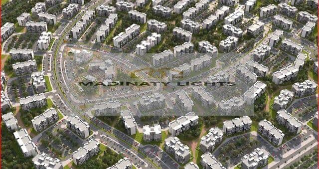 2 21c1b285-fc87-4715-abe9-1ebff39d8d5b. jpeg