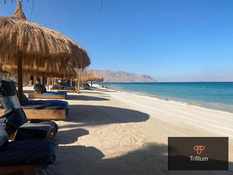 3 WhatsApp Image 2024-02-14 at 15.13. 36_e55ffae4. jpg