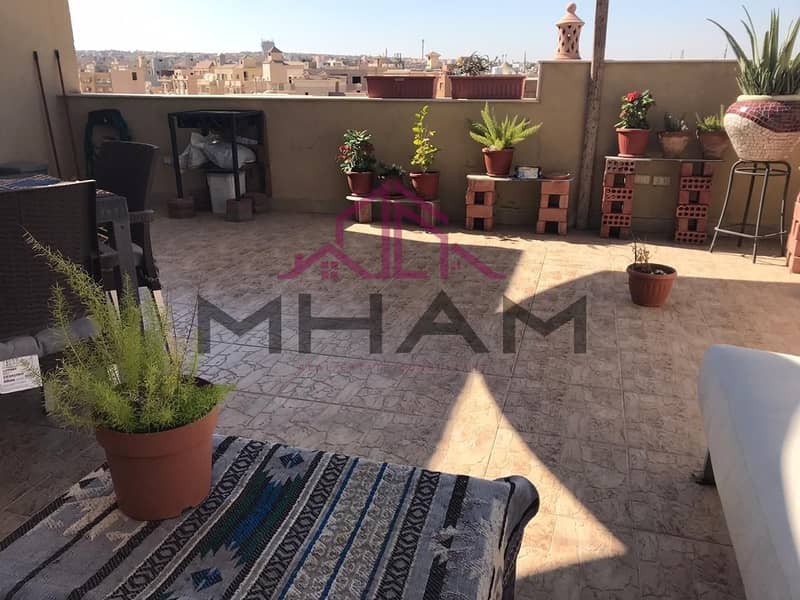 photo_5841569652356615173_y. jpg