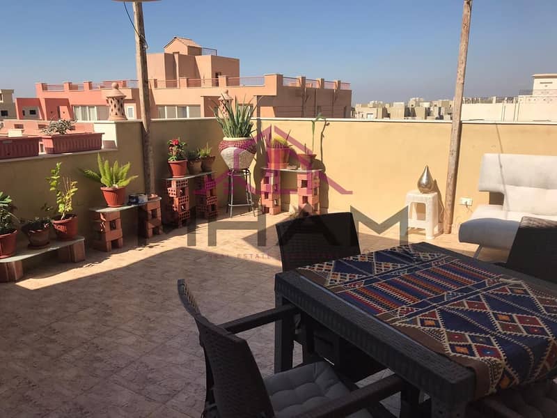 23 photo_5841569652356615188_y. jpg