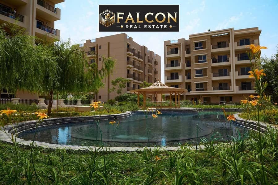 11 WhatsApp Image 2024-11-28 at 12.32. 48_78294c1d. jpg