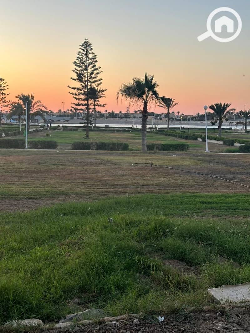 13 4287b372-0a8f-4aeb-b99a-2b5f7f3f5782. jpeg