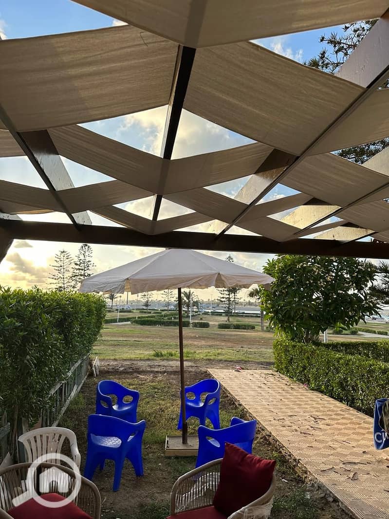 14 5122ab49-e325-4d00-be96-45a45e4649e7. jpeg